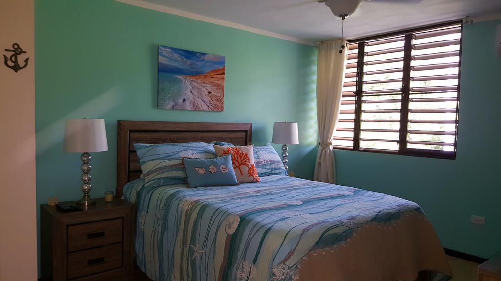 Fully Air-Conditioned Beach Front Penthouse Apartment Naguabo Exteriör bild