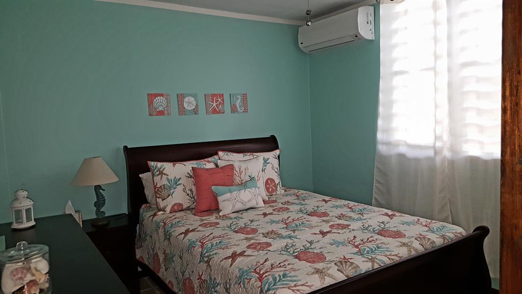 Fully Air-Conditioned Beach Front Penthouse Apartment Naguabo Exteriör bild